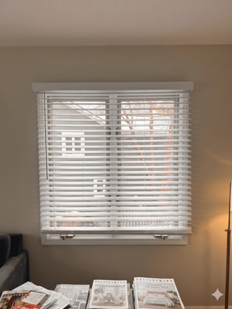 Blinds, IN - an image of a window with white window blinds.